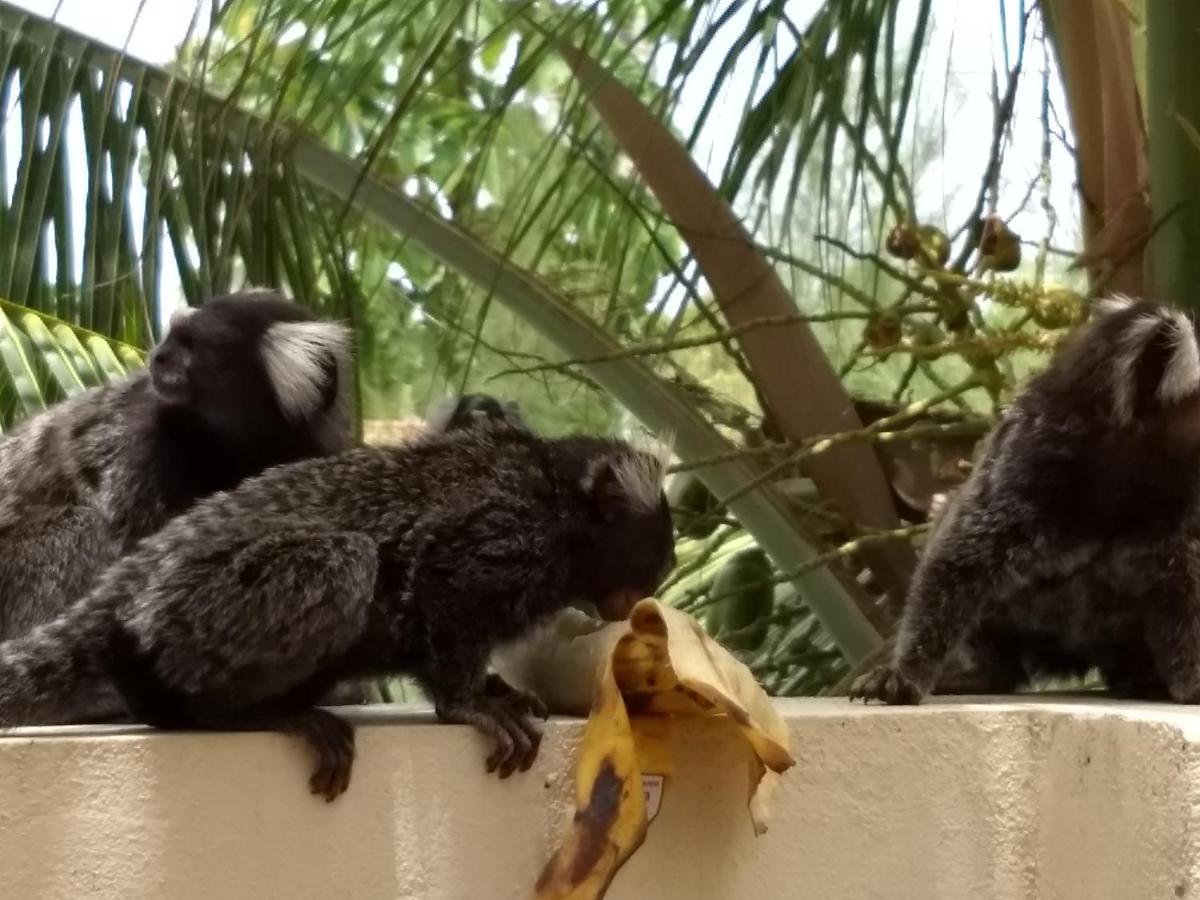 Pousada Vila Dos Santos Pôrto das Galinhas Eksteriør bilde